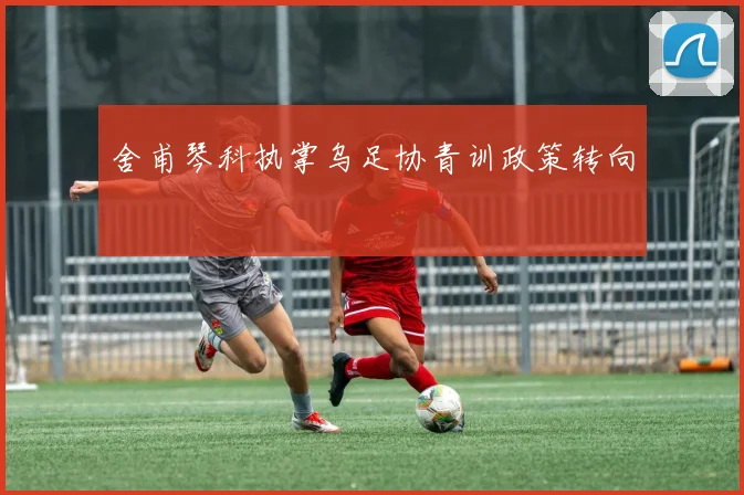 舍甫琴科执掌乌足协青训政策转向