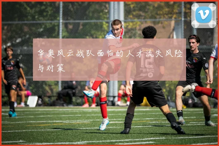 华奥风云战队面临的人才流失风险与对策