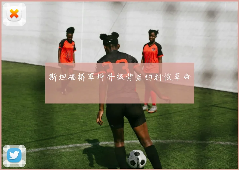 斯坦福桥草坪升级背后的科技革命