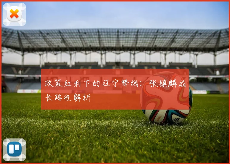 政策红利下的辽宁锋线：张镇麟成长路径解析