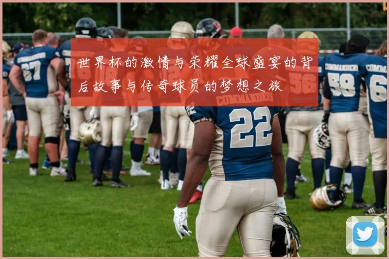 世界杯的激情与荣耀全球盛宴的背后故事与传奇球员的梦想之旅